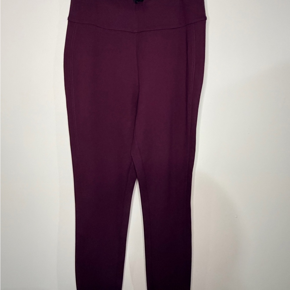Express Deep Purple Ankle Pants